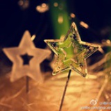 小羽