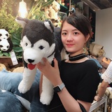 我没有糖