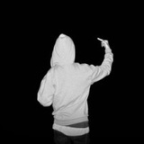 栗色择西君。