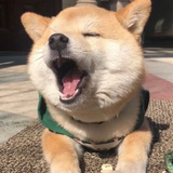 飞离拜占庭