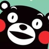 熊本熊的熊