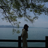 木木棉