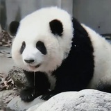 悦熙