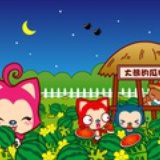 小油菜