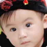 露苓蝴蝶