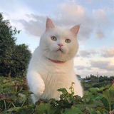 你立