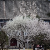 扶不扶