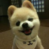 安拉之剑