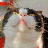 青木侠
