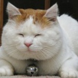 孙大逗