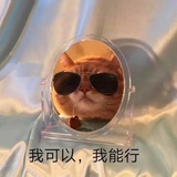 发现JQ的小眼睛