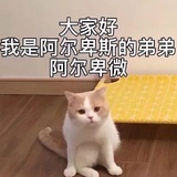 Lily.L