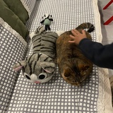 我想静静