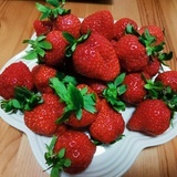 夏日将近