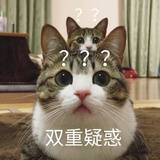 呸