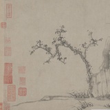 鱼某人