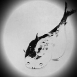 和风