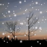 wanderound