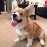 Joy大王