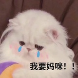 张若昀