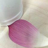 王伊一
