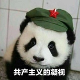 大王叫我来巡山
