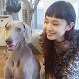 佛罗里达小崽