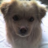 翔宇