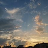 鱼看海