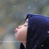 chinar