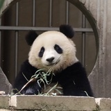 独乐不如群乐