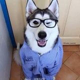 kenai