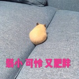 啊!能守时点吗?