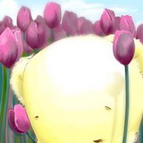 廖若