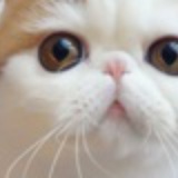 秦忆凝