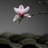 南风