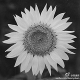 时光里的尘埃