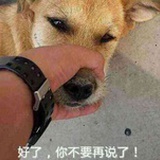 安狗
