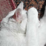 鼓楼作死艺术家