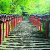 小白龙