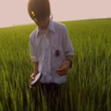 鸣鹿