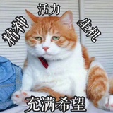 妮可