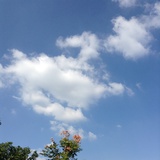 小黛西