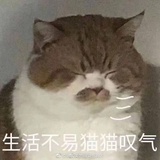 无限猴子