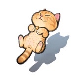 沉默夜色