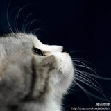 冷暖
