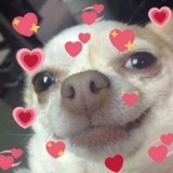 sam