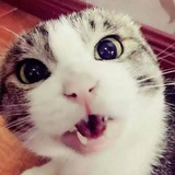 潘子