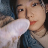 青菜。