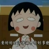 崽